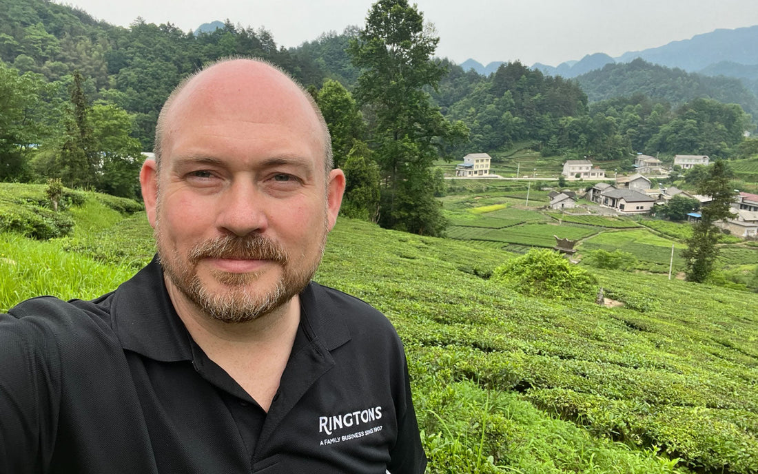 Meet Our Tea Sourcing Director - A Chat About Ethics, Excellence, and Everything Tea