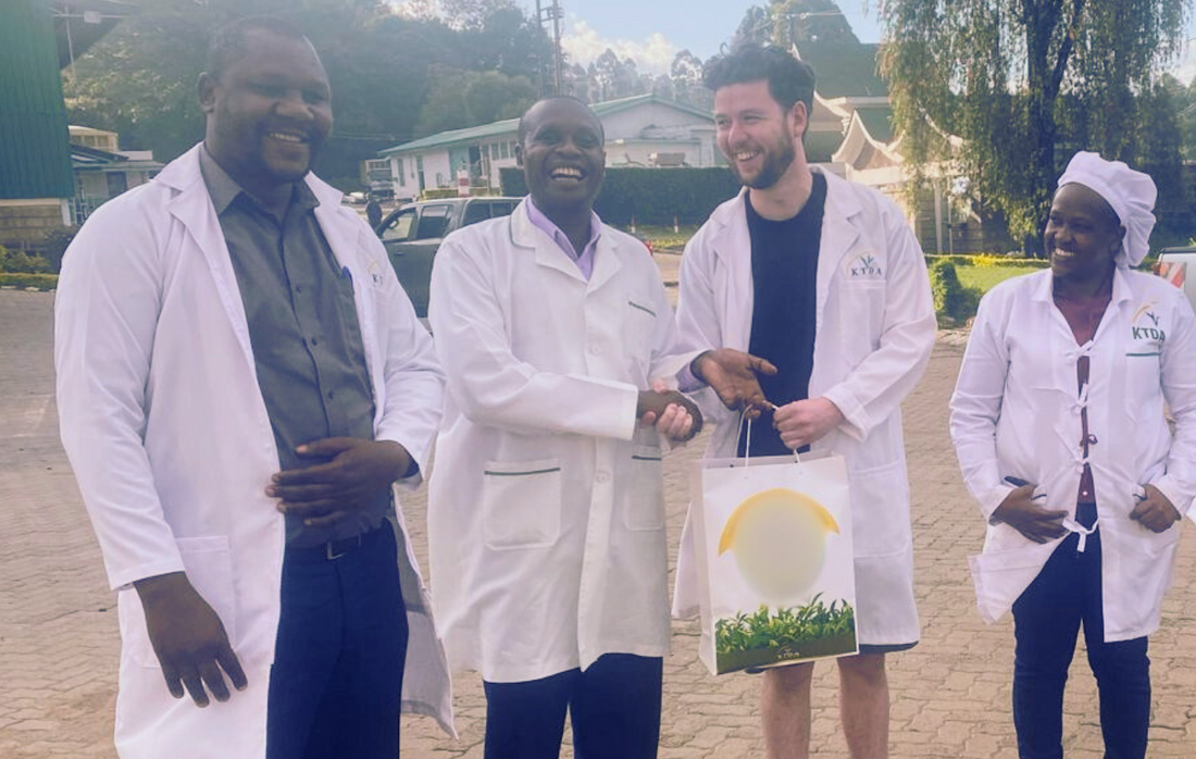 Ringtons in Origin - Kenya