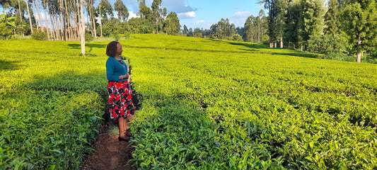 Nduti - A conversation with Nancy