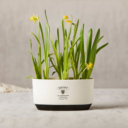 Ceramic Planter