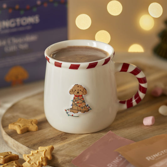 Hot Chocolate Gift Set