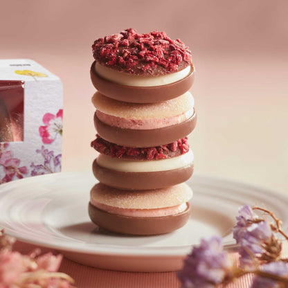 Macaron Shaped Belgian Chocolates